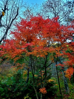 20191031_200736.jpg