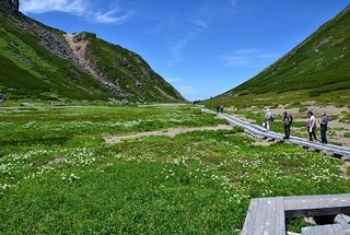 7c0acd23753aa76d8529ba920d5e9af2.jpg