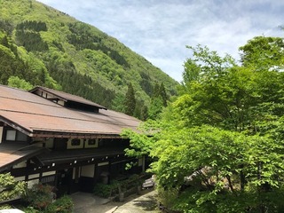 IMG_1778.jpg