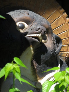 IMG_2627.JPG