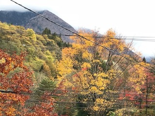 image4.jpeg